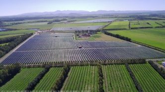 Pimpisu, primo impianto agrivoltaico ibrido in esercizio a Serramanna: 45,8 MW e Bess da 20 MW