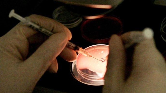 Peste in Siberia, donna morta a Irkutsk: 200 persone in quarantena