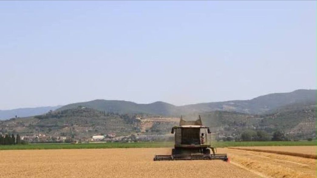 Eima 2026, meccanica agricola in calo: Italia tiene, 60mila modelli
